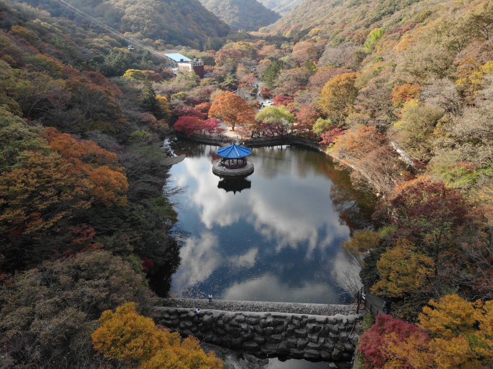 내장산국립공원-가을단풍