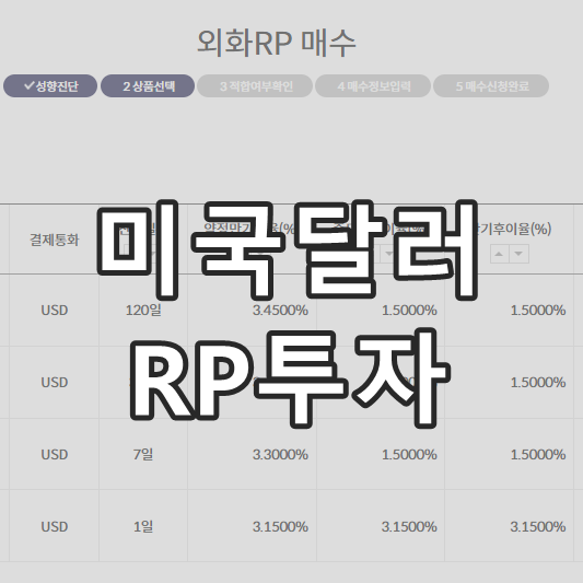 RP 달러 투자