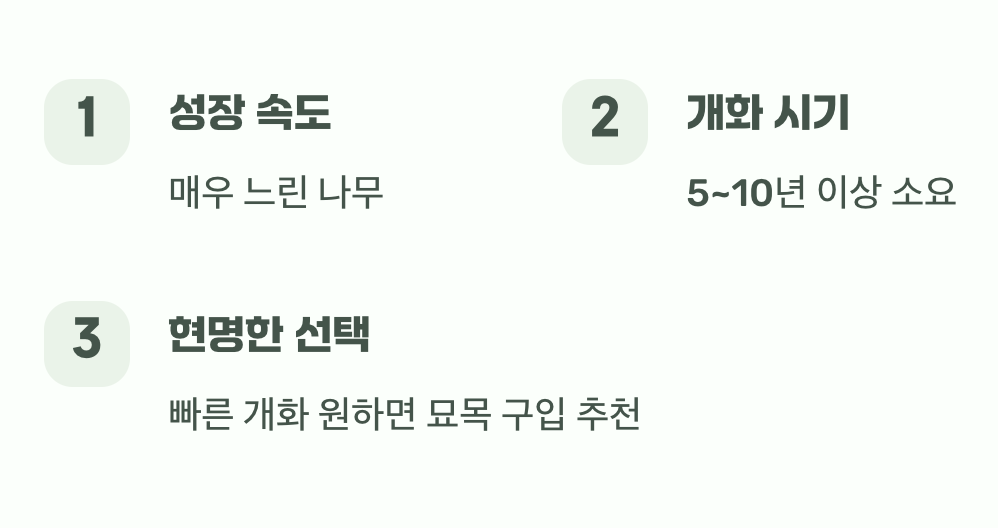 꽃을 보기까지&amp;#44; 인내의 시간