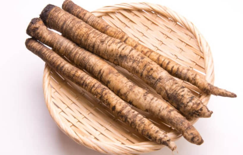 우엉제철시기 우엉품종