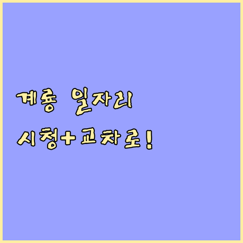 계룡시 일자리 찾는 법 대전교차로와 ..