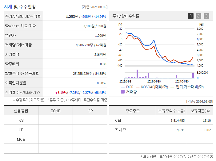 DGP_기업개요