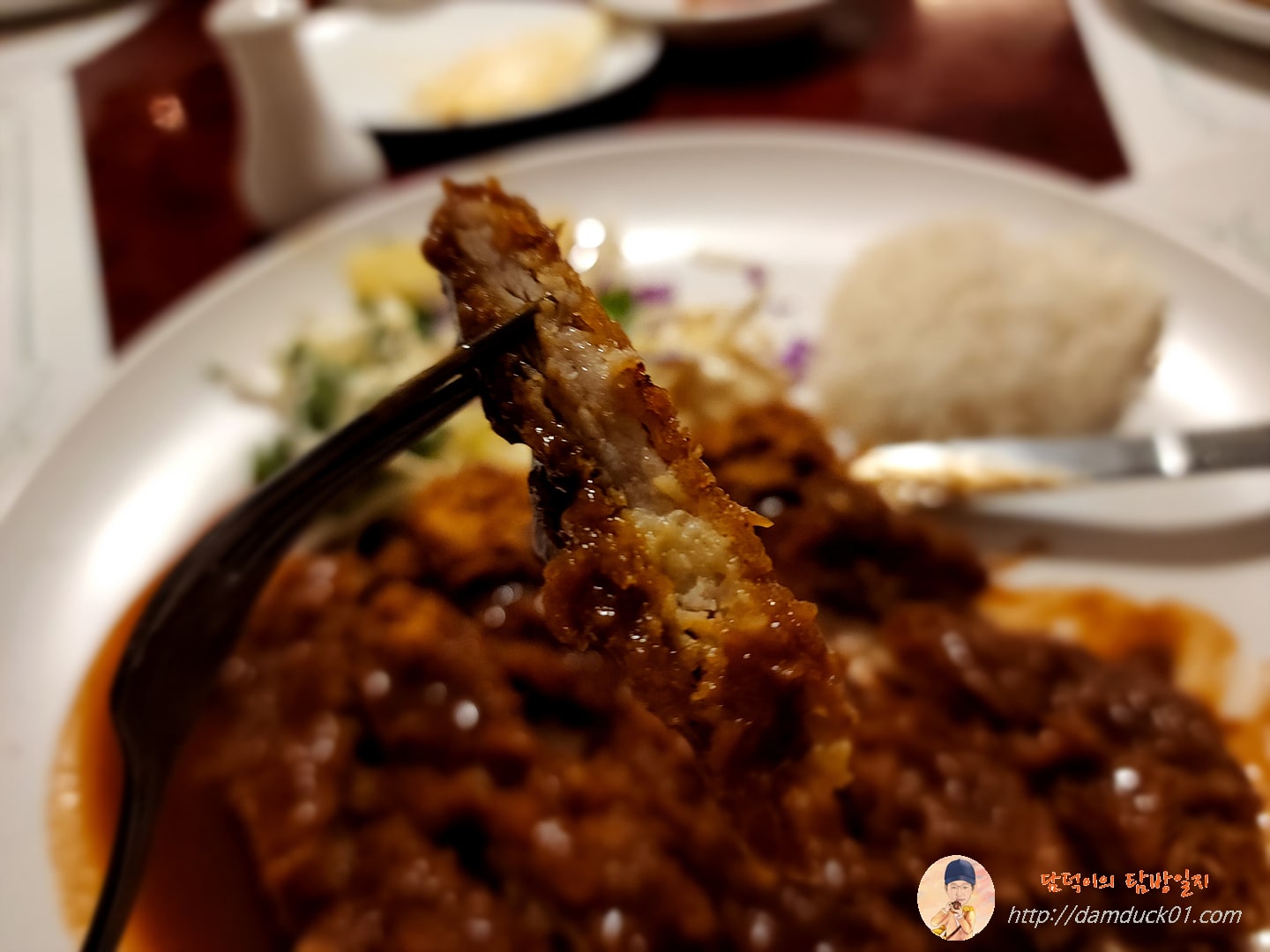 돈가스 한 조각