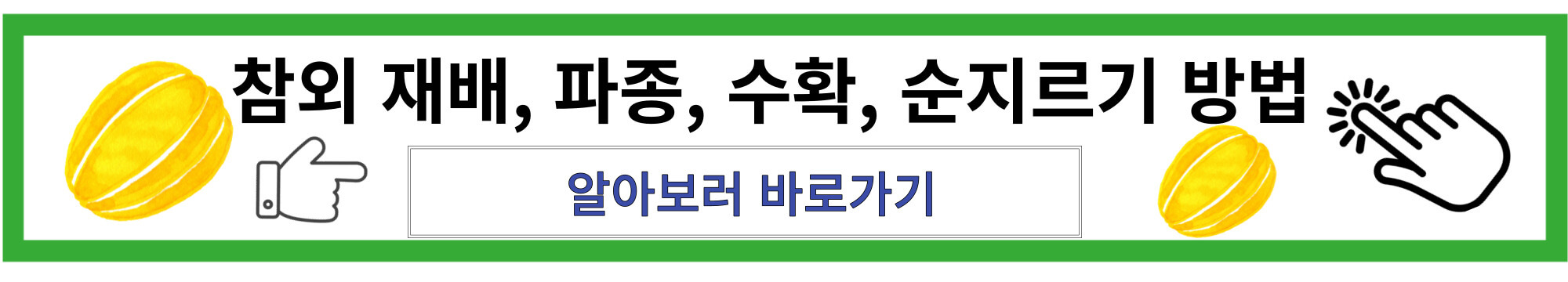 참외재배방법