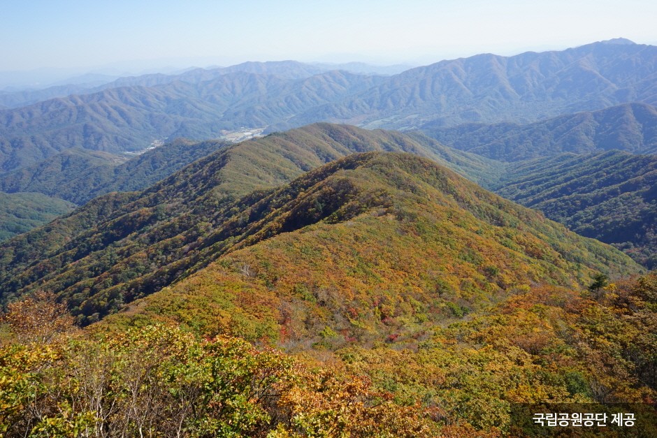 치악산