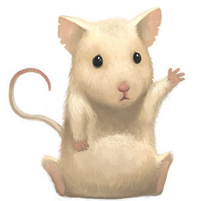 2022년 삼재 용띠 쥐띠 원숭이띠