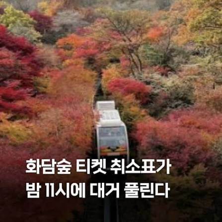 2026 화담숲 취소표