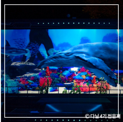 통영 가볼만한곳