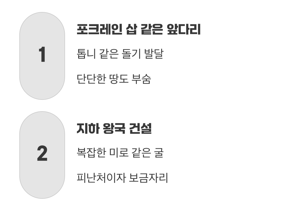 땅 파기에 최적화된 앞발