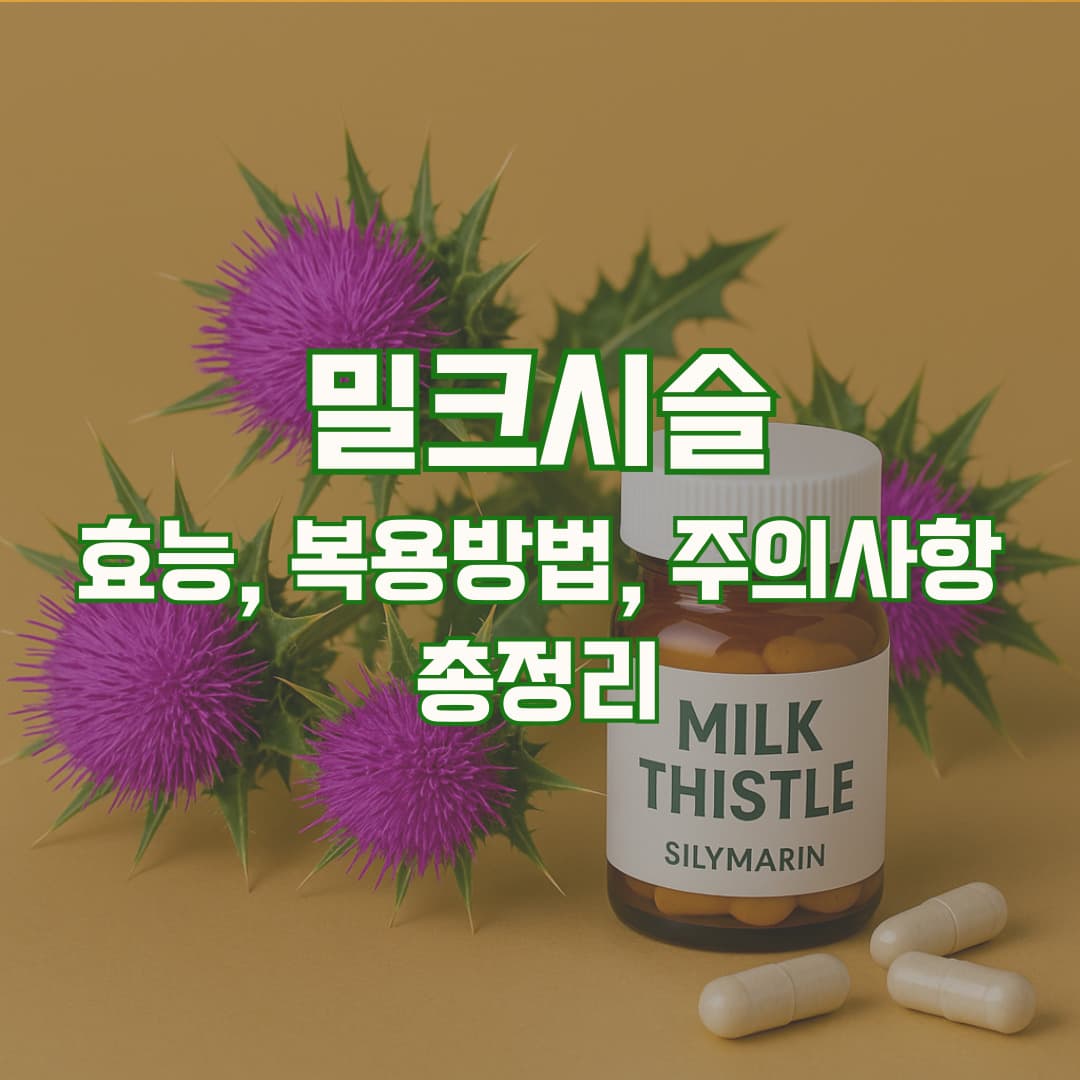 밀크시슬 효과와 복용 시간까지 총정리!
