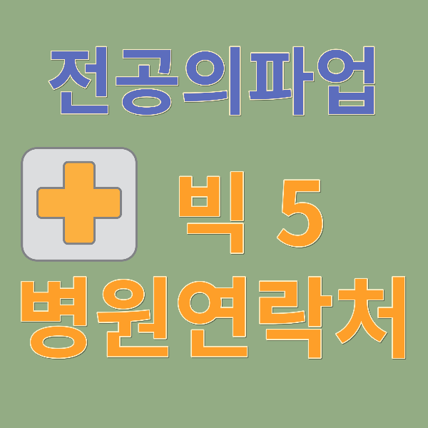전공의파업 (빅5 주요연락처)