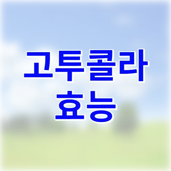 고투콜라 효능