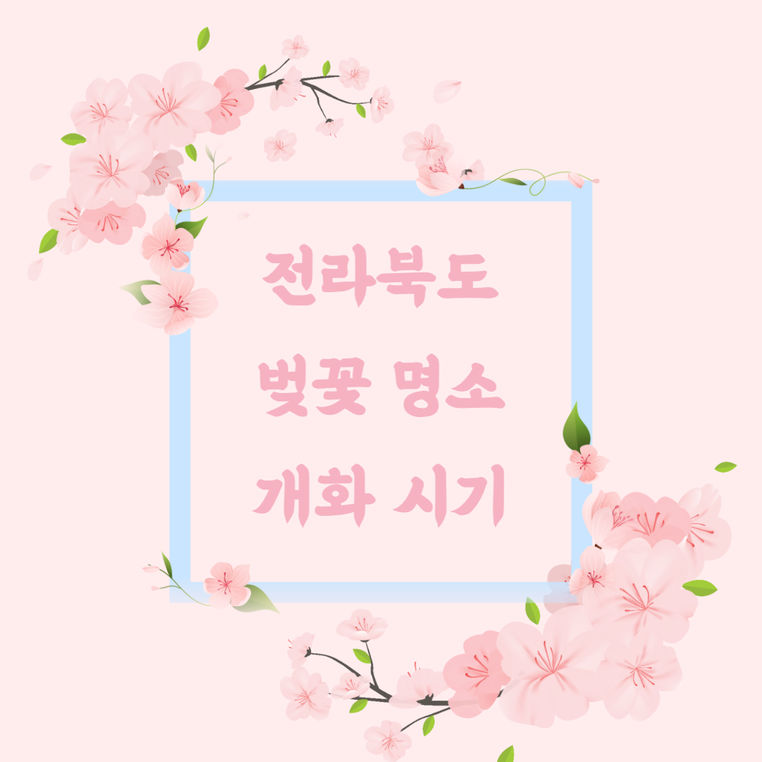 전라북도 벚꽃 명소 개화시기