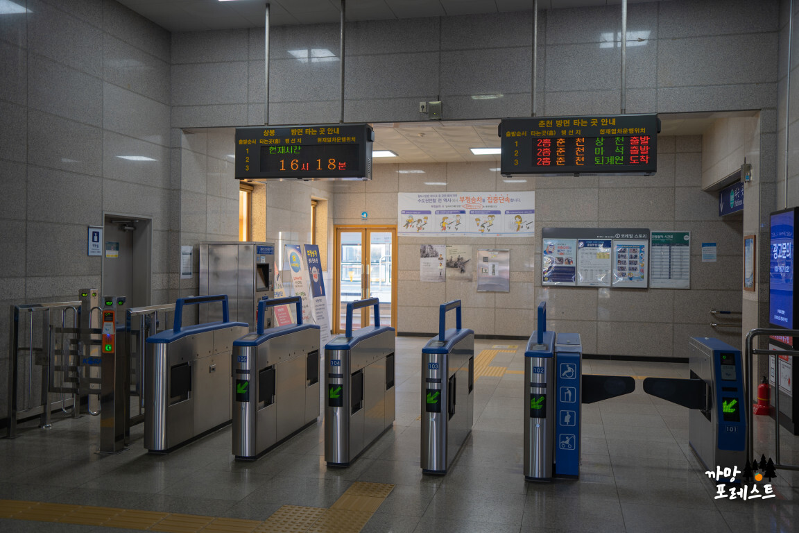 춘천 김유정 새로운 역