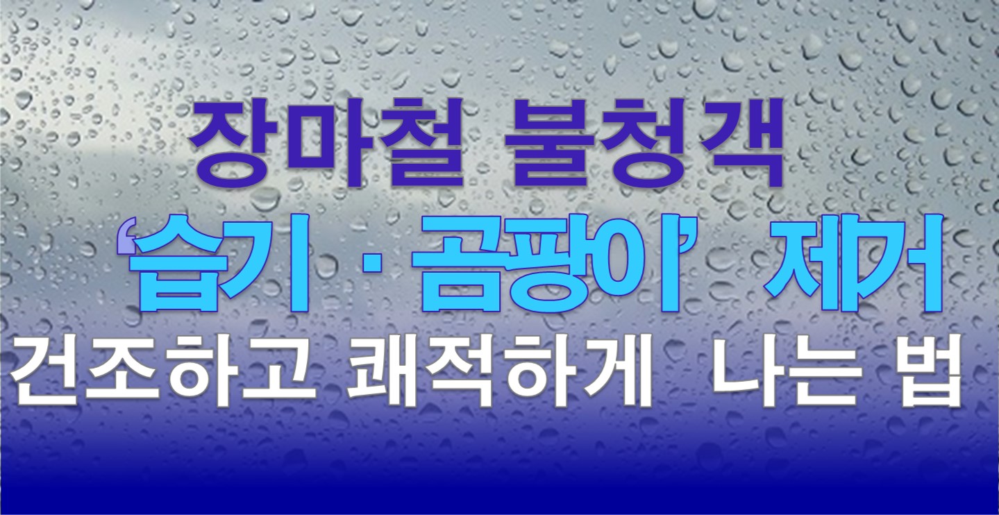 장마철 습기 곰파이 제거법