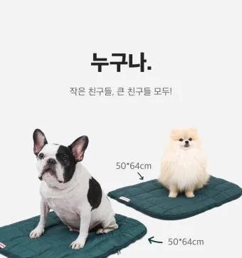 베이컨박스 바로가기 TOP 제품 추천_23