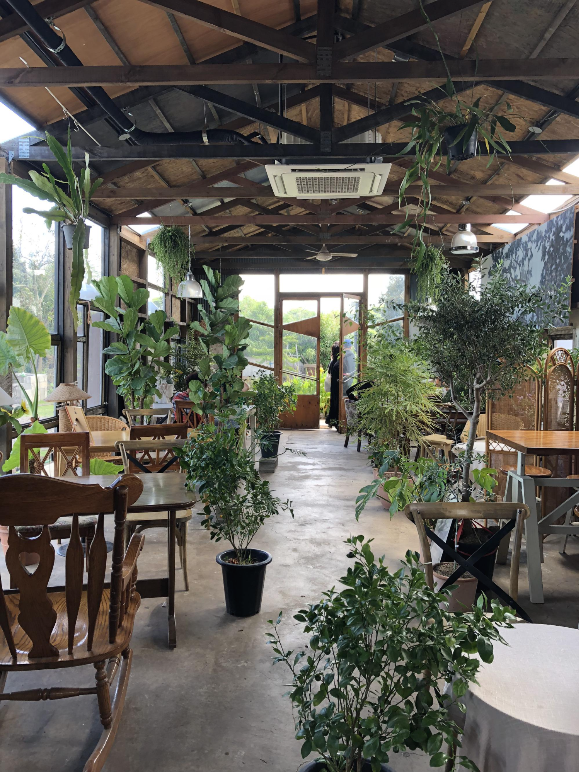 제주동쪽 카페 그계절2