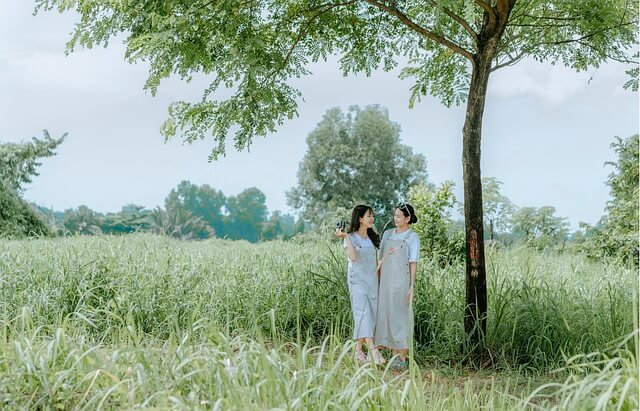 [2025 최신] 청소년 생리대 지원금 비교! 정부 vs 경기도 차이점 &amp; 신청 방법