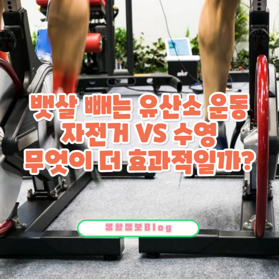 자전거와 수영 중 어떤 유산소 운동이 뱃살 제거에 더 효과적일까요?