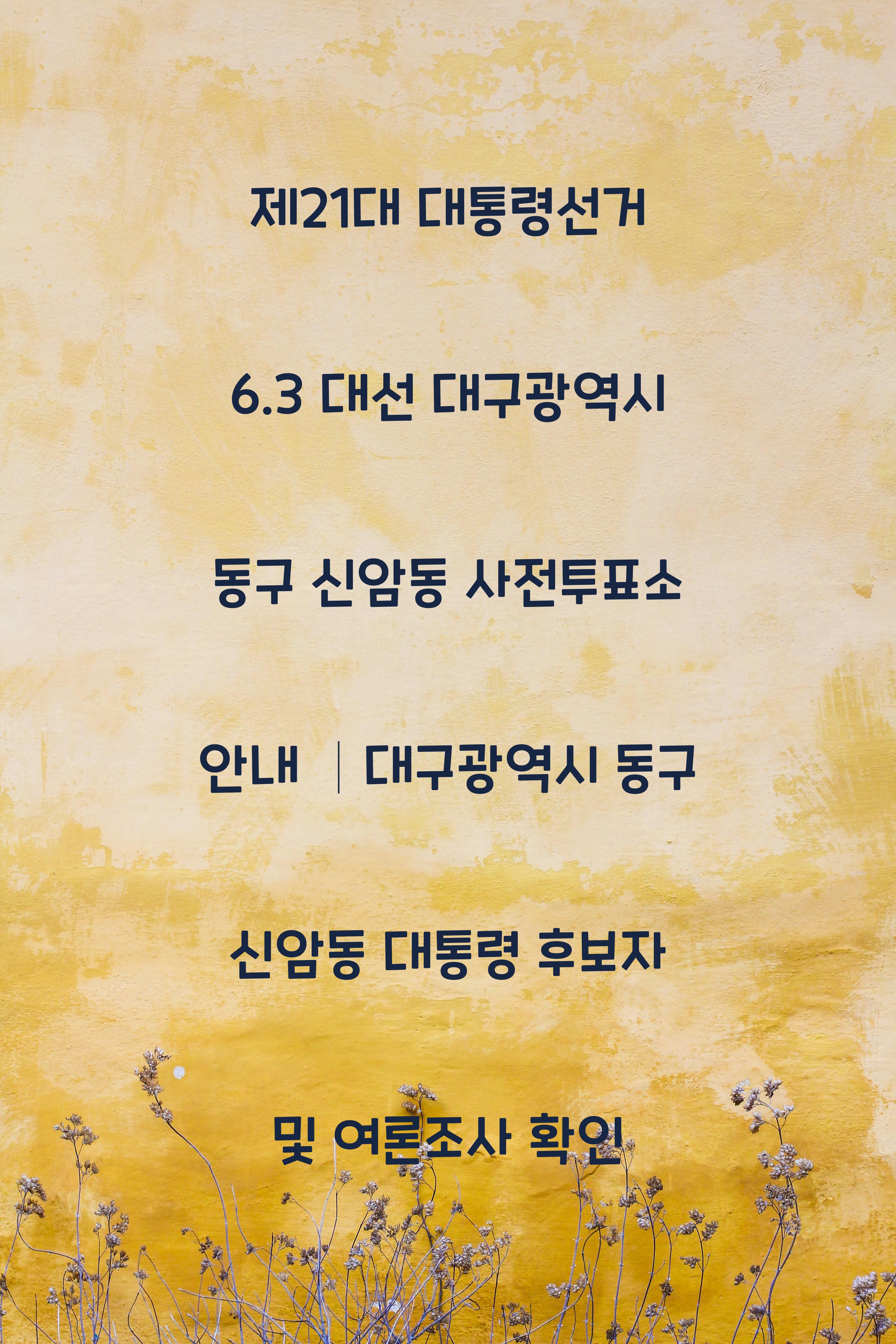 제21대 대통령선거 6.3 대선 대구광역시 동구 신암동 사전투표소 안내 │대구광역시 동구 신암동 대통령 후보자 및 여론조사 확인