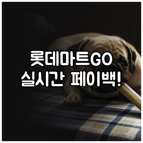 롯데마트GO 앱으로 페이백 포인트 실..