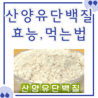 산양유단백질