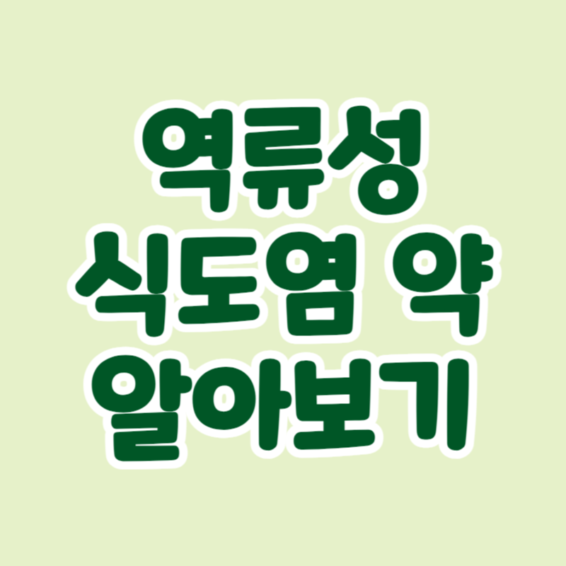 역류성 식도염 약