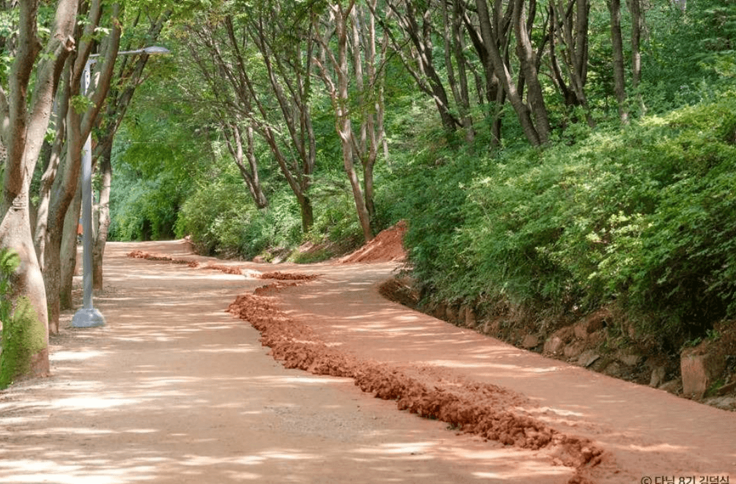 대전 0시축제 일정 및 라인업 주차장 숙박할인 안내