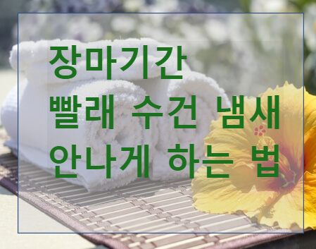 장마기간 빨래 수건 냄새 안나게 하는 방법