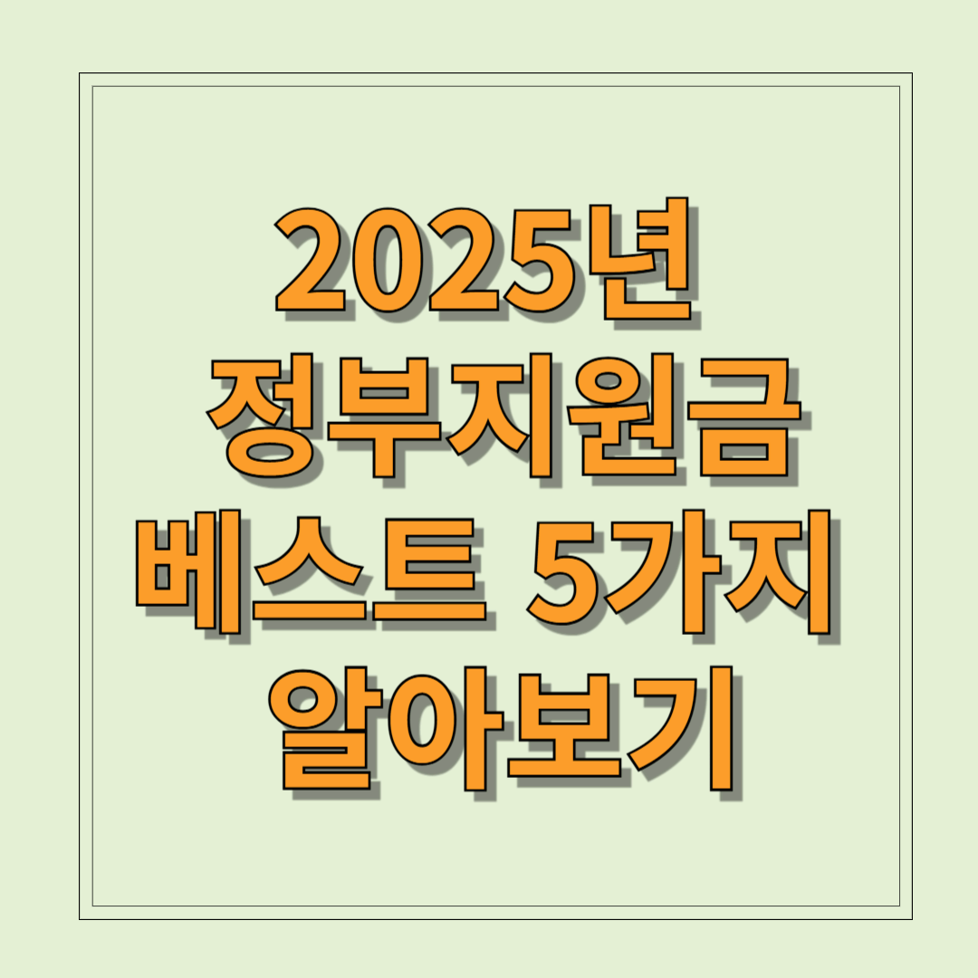 2025년 정부지원금 추천 베스트 5가지 알아보기