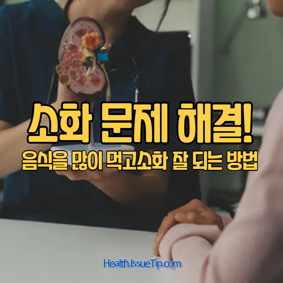 소화력 강화 비법과 과식 후 소화 촉진 방법