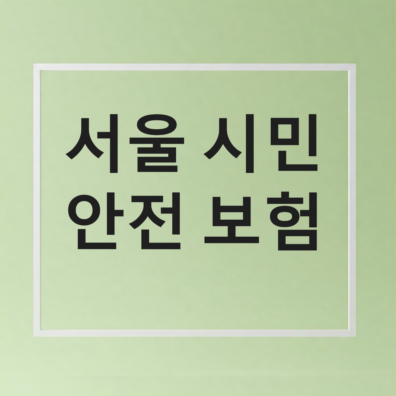서울시민안전보험