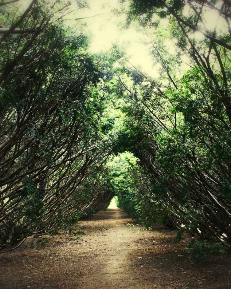 벽초지수목원 봄꽃축제 일정 입장료 맛집 주차장