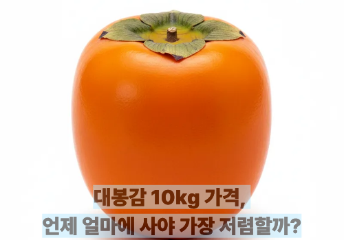 대봉감 10kg 가격, 언제 얼마에 사야 가장 저렴할까?