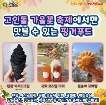 2024 화순 고인돌 가을꽃 축제정보 입장권 주차장