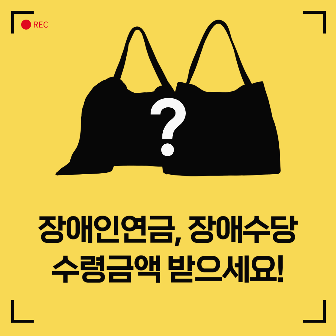 장애인연금 및 장애수당&#44; 장애연금 등 다양한 장애관련 용어 구분과 수령금액 알아보자