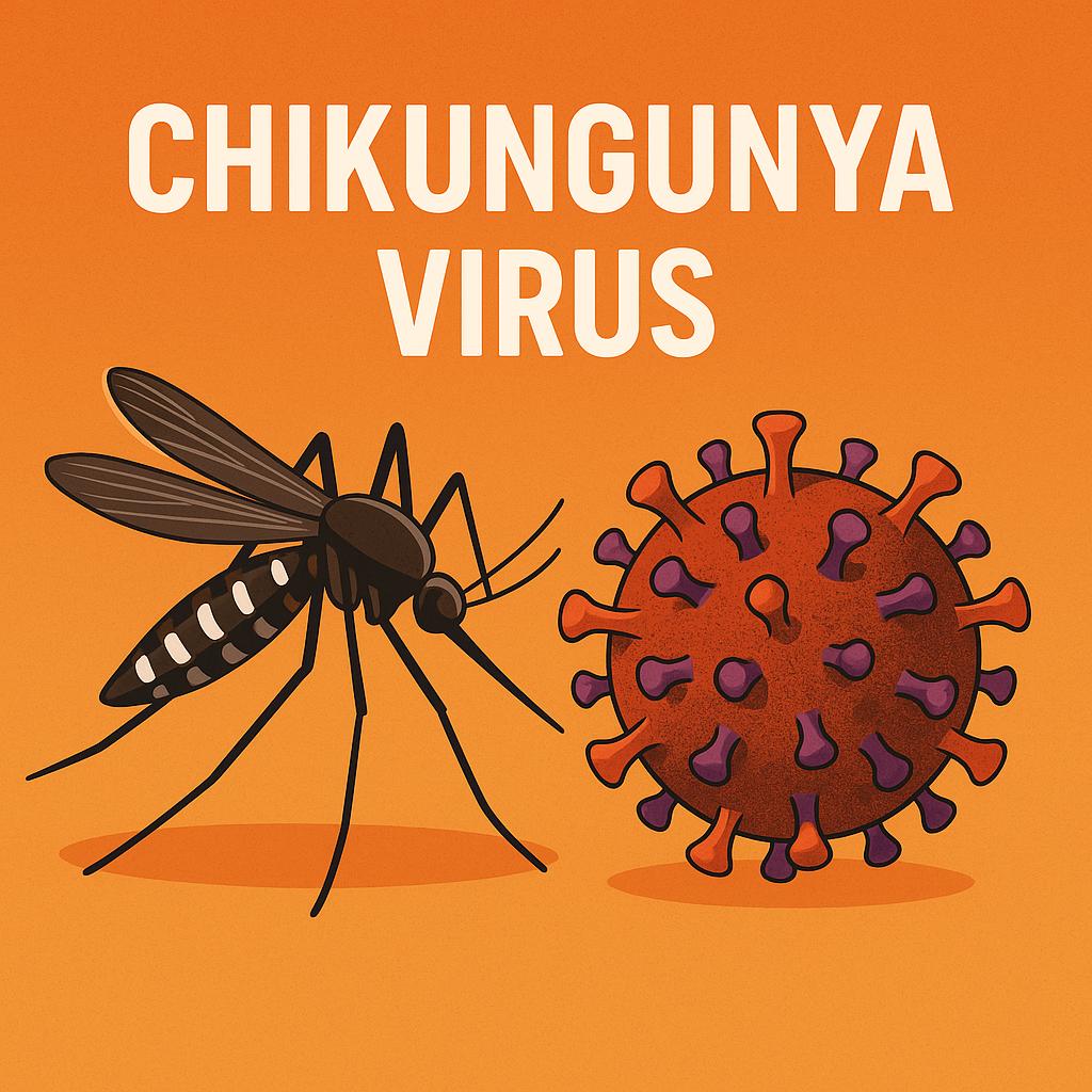 중년에게 위험할 수 있는 치쿤구냐 바이러스를 경고하는 이미지 만화체 그림