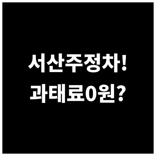 서산시 주정차 단속 알림 서비스 온라..