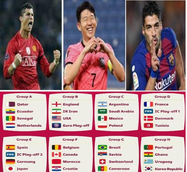 2022 카타르 월드컵