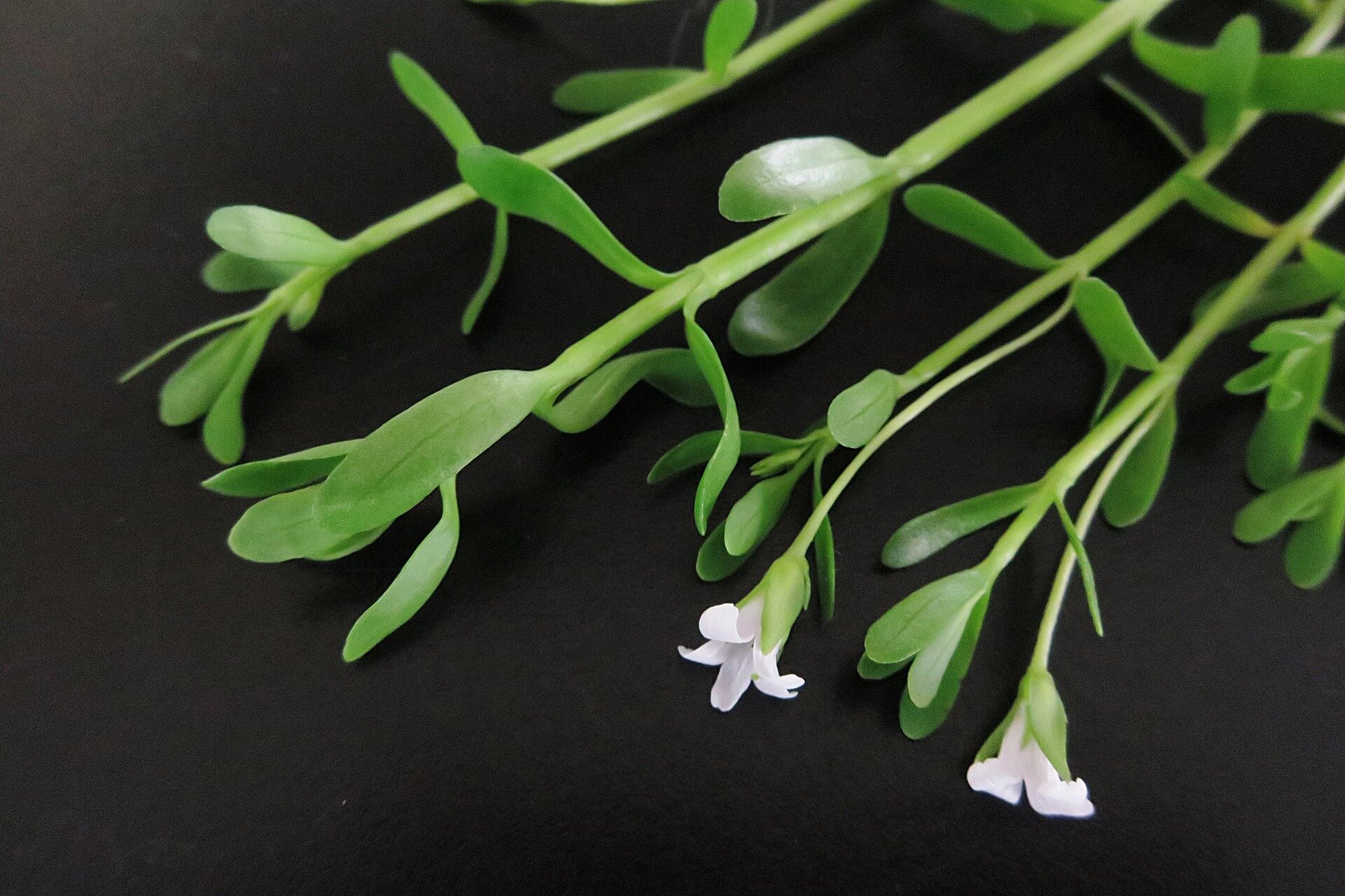 장염 빨리 낫는 법 탈수 막고 회복 돕는 수분 식사 약 복용 체크리스트