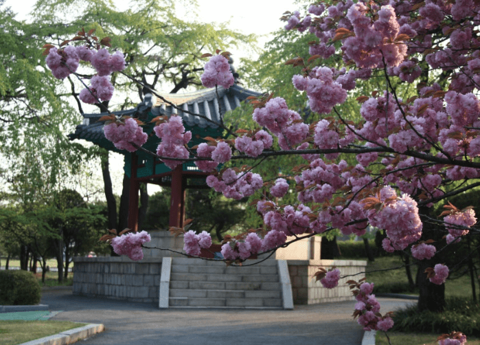 국립서울현충원