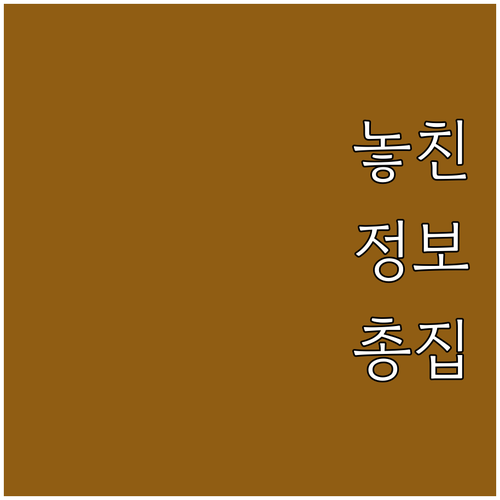 2025 진안군 산모 신생아 건강관리..