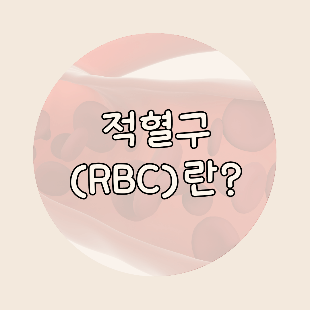 적혈구