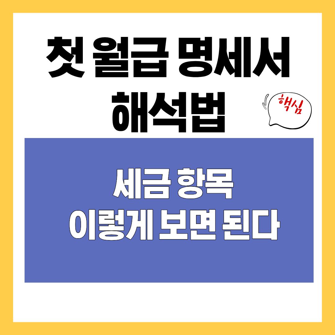 첫 월급 명세서 해석법 세금 항목 이렇게 보면 된다