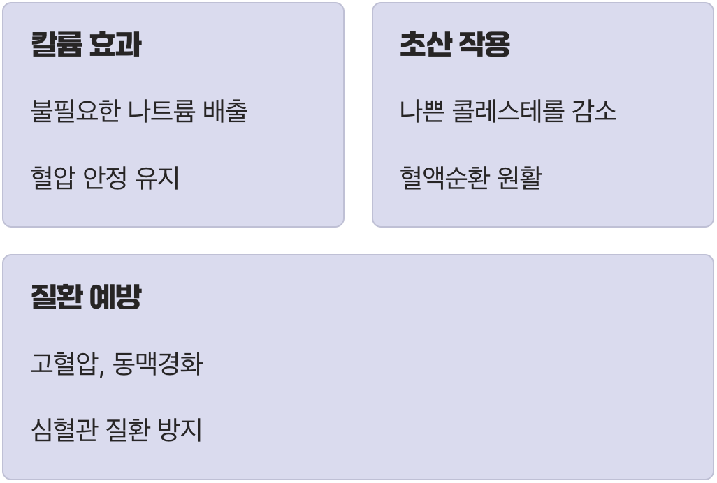 막힌 혈관을 뚫어주는 혈관 청소부