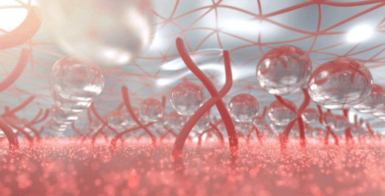 피부유산균 hy7714 사진