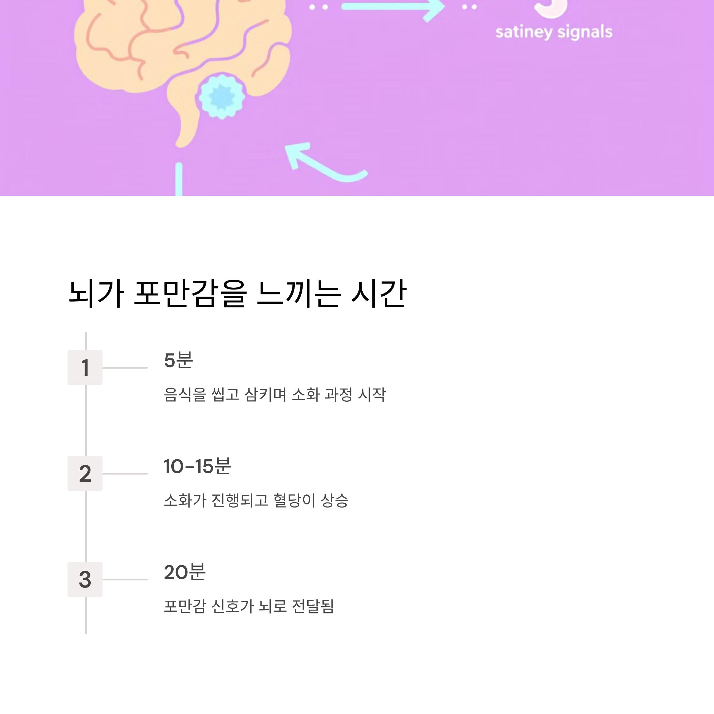 뇌가 포만감을 느끼는 시간