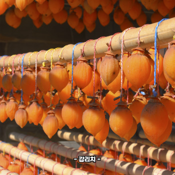 곶감 효능
