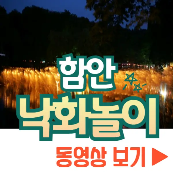 함안 낙화놀이 동영상