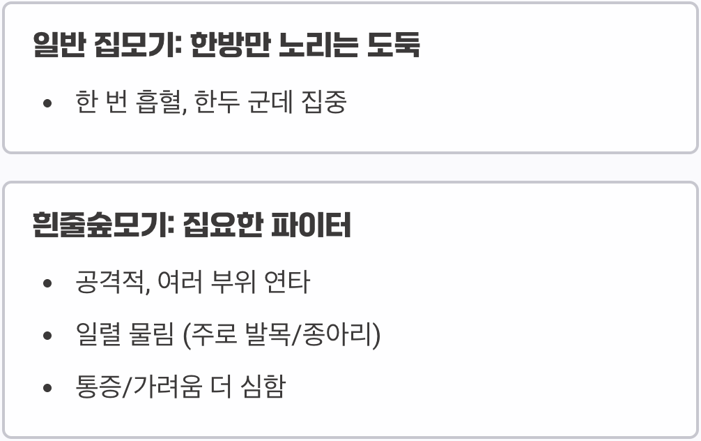한방만 노리는 도둑 vs 집요한 파이터